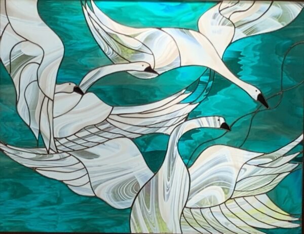 The Wild Swans