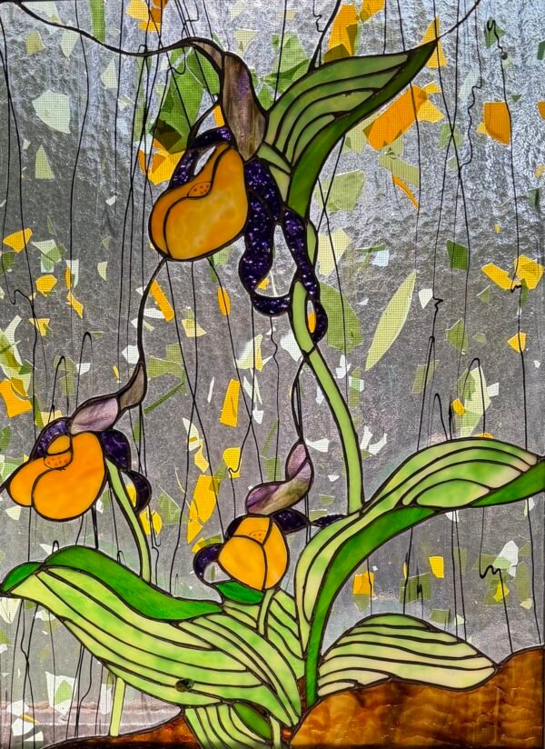 Yellow Lady Slippers